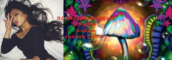 мдпв Каменка