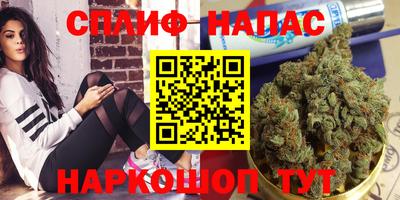 спиды Гуково