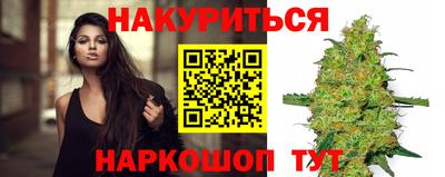 крисы Гудермес