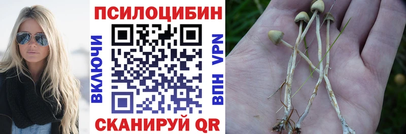 где можно купить наркотик  Пермь  Галлюциногенные грибы Cubensis 